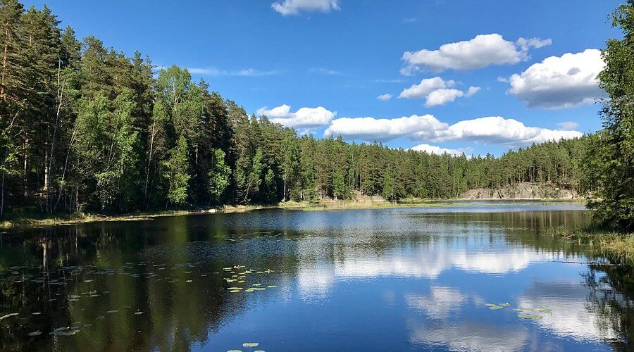 Nuuksio National Park Tour